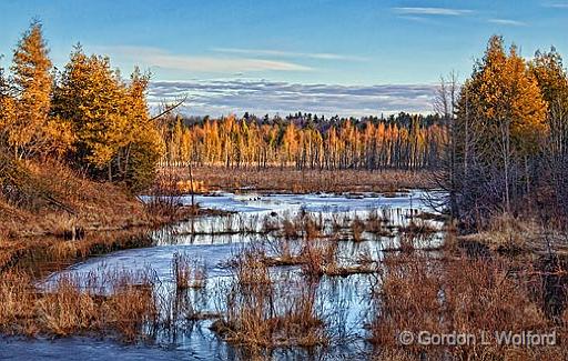 Wetlands At Sunrise_08046.jpg - Photographed near Maberly, Ontario, Canada.